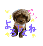 Tiara☆（個別スタンプ：14）