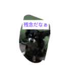 普段から使えるスタンプ 犬もあるよ（個別スタンプ：7）