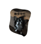 普段から使えるスタンプ 犬もあるよ（個別スタンプ：8）