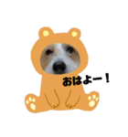 ぶいぶいジャック♪（個別スタンプ：3）