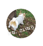 ぶいぶいジャック♪（個別スタンプ：4）