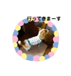ぶいぶいジャック♪（個別スタンプ：8）