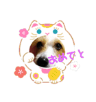 ぶいぶいジャック♪（個別スタンプ：11）