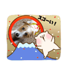 ぶいぶいジャック♪（個別スタンプ：13）