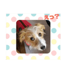 ぶいぶいジャック♪（個別スタンプ：18）