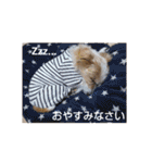 ぶいぶいジャック♪（個別スタンプ：19）