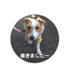 ぶいぶいジャック♪（個別スタンプ：21）