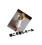 ぶいぶいジャック♪（個別スタンプ：23）