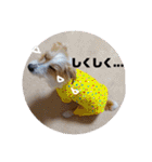 ぶいぶいジャック♪（個別スタンプ：29）