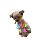 love my  dog（個別スタンプ：2）