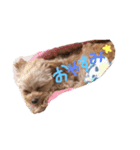 love my  dog（個別スタンプ：3）