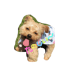 love my  dog（個別スタンプ：4）