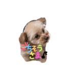 love my  dog（個別スタンプ：8）