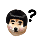 柴犬ちゃんぽん（個別スタンプ：6）