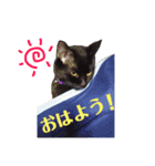 クロちゃん～Part1（個別スタンプ：7）