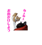 クロちゃん～Part1（個別スタンプ：11）