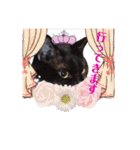 クロちゃん～Part1（個別スタンプ：12）