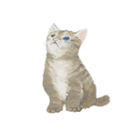 あとりえ艸の猫2（個別スタンプ：2）