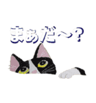 あとりえ艸の猫2（個別スタンプ：3）