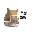 良い卵（個別スタンプ：6）