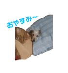 ワイヤーダックス・シスコ！（個別スタンプ：2）