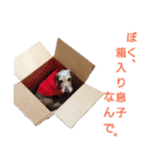 ワイヤーダックス・シスコ！（個別スタンプ：14）