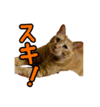 肯定系ましゃ（個別スタンプ：7）