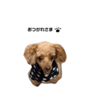 れでぃすたんぷ2（個別スタンプ：1）