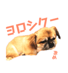 ステイウィズミー（個別スタンプ：8）
