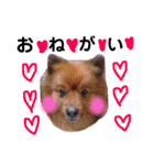 はるりんふみもん（個別スタンプ：7）