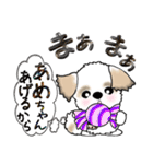 シーズー犬(アメちゃんあ・げ・る) Vol.22（個別スタンプ：17）