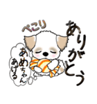 シーズー犬(アメちゃんあ・げ・る) Vol.22（個別スタンプ：24）