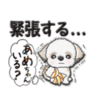 シーズー犬(アメちゃんあ・げ・る) Vol.22（個別スタンプ：40）