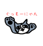ハチワレ猫のチョビゲラー第2弾（個別スタンプ：1）