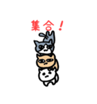 ハチワレ猫のチョビゲラー第2弾（個別スタンプ：9）