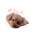 むぅたんのスタンプ（個別スタンプ：1）