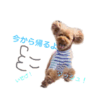 むぅたんのスタンプ（個別スタンプ：2）