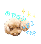 むぅたんのスタンプ（個別スタンプ：6）