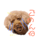 むぅたんのスタンプ（個別スタンプ：8）