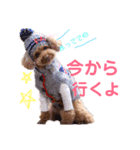 むぅたんのスタンプ（個別スタンプ：13）