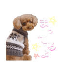 むぅたんのスタンプ（個別スタンプ：15）
