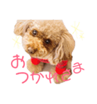 むぅたんのスタンプ（個別スタンプ：16）