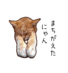 むぎちゃんにゃん！2（個別スタンプ：7）