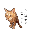 むぎちゃんにゃん！2（個別スタンプ：8）
