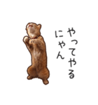 むぎちゃんにゃん！2（個別スタンプ：17）