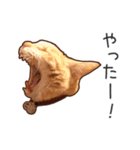 むぎちゃんにゃん！2（個別スタンプ：18）
