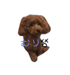 第三弾 かわいい愉快な仲間たち（個別スタンプ：1）