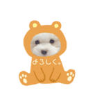 ぽっぷ（個別スタンプ：5）
