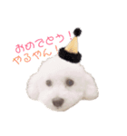 ぽっぷ（個別スタンプ：6）