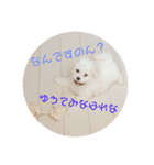 ぽっぷ（個別スタンプ：7）